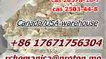 CAS 28578-16-7 PMK Ethyl Glycidate CAS 2503-44-8 Canada USA Warehouse - صورة 5