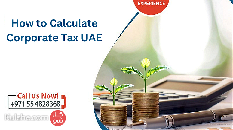 Calculate Corporate Tax in UAE - Image 1