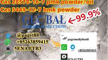 CAS 5449-12-7 New BMK Powder BMK Glycidic Acid (sodium salt) Hot