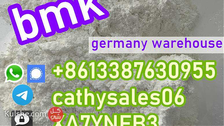 5449-12-7 New BMK Powder BMK Glycidic Acid (sodium salt) - Image 1