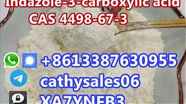 Indazole-3-carboxylic Acid CAS 4498-67-3