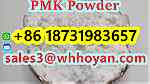 CAS 28578-16-7 High Yield BMK PMK Powder - صورة 2