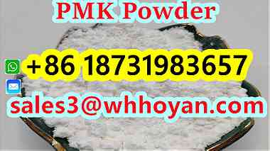 CAS 28578-16-7 High Yield BMK PMK Powder