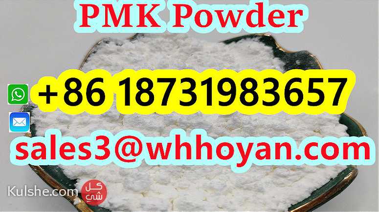 CAS 28578-16-7 High Yield BMK PMK Powder - Image 1