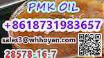 CAS 28578-16-7 pmk oil liquid OIL PMK sale price - صورة 1