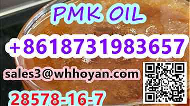 CAS 28578-16-7 pmk oil liquid OIL PMK sale price
