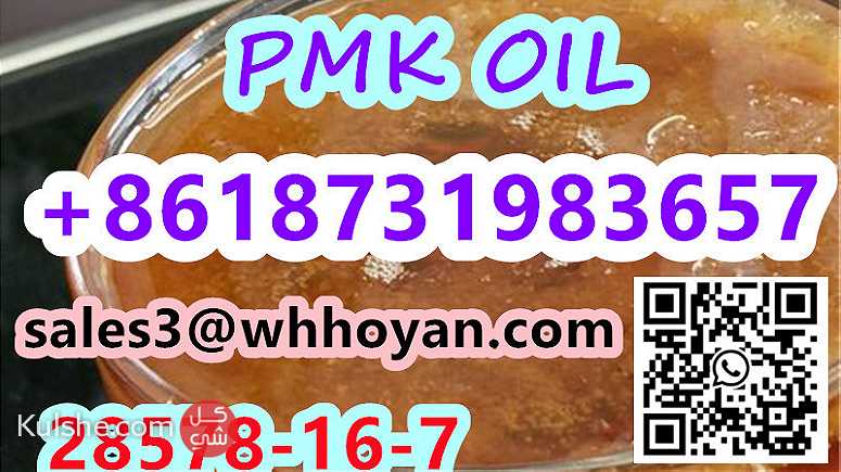 CAS 28578-16-7 pmk oil liquid OIL PMK sale price - صورة 1