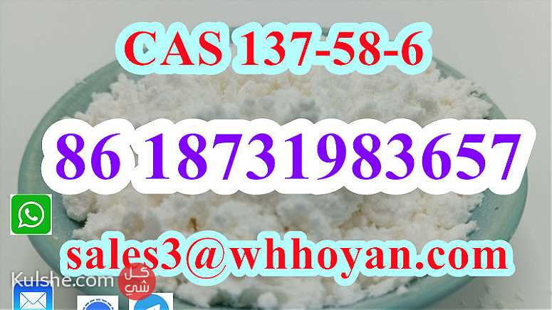 CAS 137-58-6 white Lidocaine powder wholesale - صورة 1