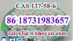 CAS 137-58-6 white Lidocaine powder wholesale - Image 1