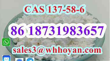 CAS 137-58-6 white Lidocaine powder wholesale