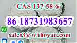 CAS 137-58-6 white Lidocaine powder wholesale - Image 2