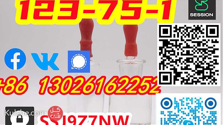 123-75-1 Pyrrolidine China Products Suppliers 8613026162252 - صورة 1