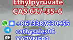 Supply CAS 617-35-6 Ethyl Pyruvate - صورة 4