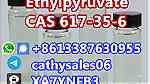 Supply CAS 617-35-6 Ethyl Pyruvate - صورة 2