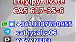 Supply CAS 617-35-6 Ethyl Pyruvate - صورة 1