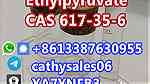 Supply CAS 617-35-6 Ethyl Pyruvate - صورة 9