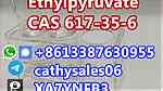 Supply CAS 617-35-6 Ethyl Pyruvate - صورة 10