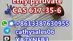 Supply CAS 617-35-6 Ethyl Pyruvate - صورة 7