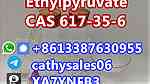Supply CAS 617-35-6 Ethyl Pyruvate - صورة 11