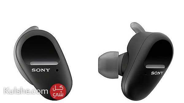 Sony WF-SP800N Bluetooth Truly Wireless in Ear Earbuds with Mic - صورة 1