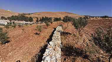 أرض زراعية قريبة من طريق اربد عمان
