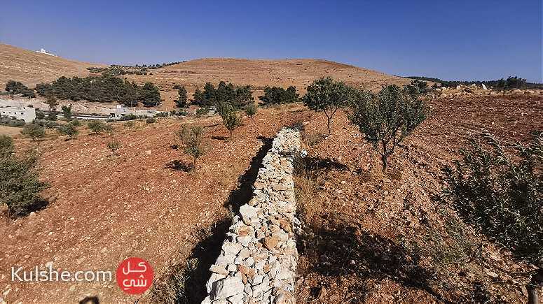 أرض زراعية قريبة من طريق اربد عمان - صورة 1