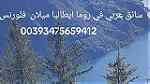 مرشد سياحي الكولوسيو 00393475659412 المدرج الروماني الكولوسيوم - Image 2