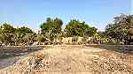 Garden Land for leasing in Jabalat Hibshi BD.0.300 per sqm with EWA - صورة 2