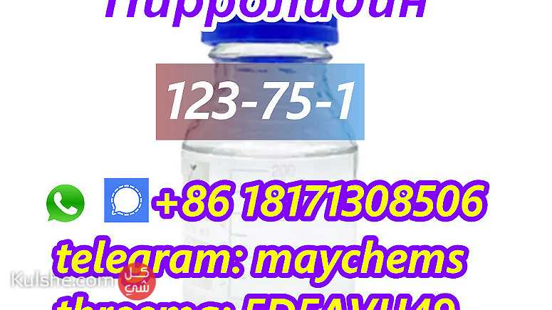 CAS 123-75-1 Pyrrolidine liquid kazakhstan - صورة 1