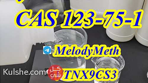 Russia kazakhstan CAS 123-75-1 Pyrrolidine liquid - Image 1