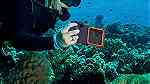 Professional Diving Case 3rd Generation Bluetooth Shellbox - صورة 8