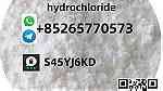 Wholesale2-Amino-4-methylpentane hydrochloride CAS 71776-70-7 - صورة 1