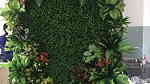 جمال الزرع المعلق الـ Green Wall  علي الحائط يستخدم في العديد - صورة 2