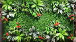 جمال الزرع المعلق الـ Green Wall  علي الحائط يستخدم في العديد - Image 3