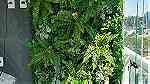 جمال الزرع المعلق الـ Green Wall  علي الحائط يستخدم في العديد - صورة 5