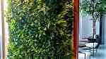 جمال الزرع المعلق الـ Green Wall  علي الحائط يستخدم في العديد - صورة 6