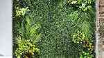 جمال الزرع المعلق الـ Green Wall  علي الحائط يستخدم في العديد - Image 4