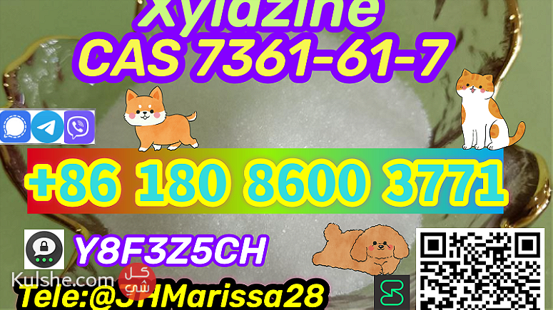 Professional CAS 7361-61-7 Xylazine Threema Y8F3Z5CH - Image 1