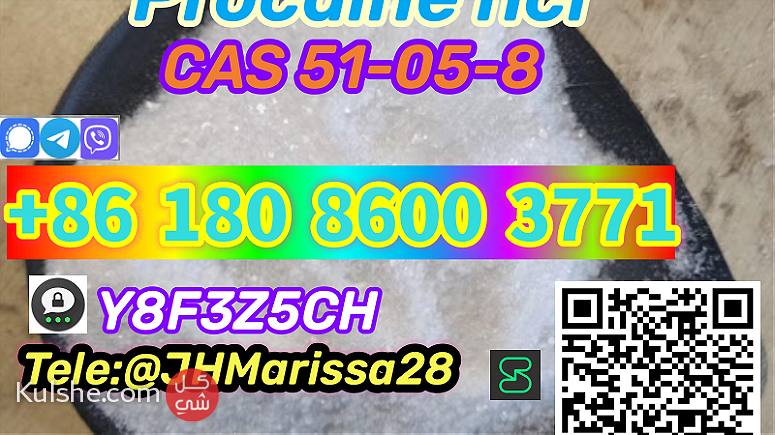 CAS 51-05-8 Procaine hydrochloride Threema Y8F3Z5CH - صورة 1