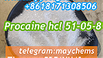 local Anesthetic powder Procaine hydrochloride 51-05-8 Procaine powder - صورة 1
