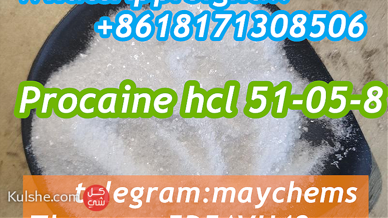 local Anesthetic powder Procaine hydrochloride 51-05-8 Procaine powder - صورة 1