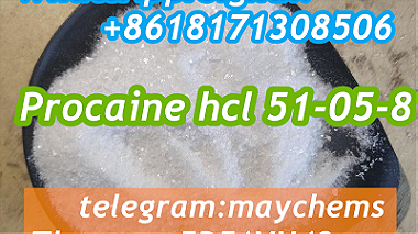 local Anesthetic powder Procaine hydrochloride 51-05-8 Procaine powder