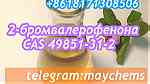 49851-31-2 2-BROMO-1-PHENYL-PENTAN-1-ONE with good price - Image 1