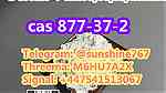 Telegram sunshine767 2-bromo-4-chloropropiophenone 2b4c CAS 877-37-2 - صورة 1