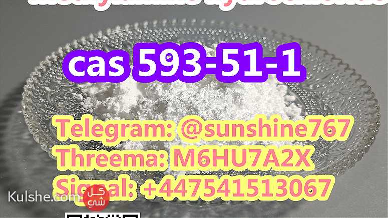 Telegram sunshine767 Methylamine hydrochloride CAS 593-51-1 - صورة 1
