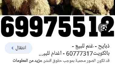 ذبايح للبيع 69975512 مع قصاب والتوصيل لجميع مناطق الكويت ابوعلى