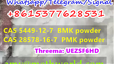 bmk powder EU stock good price cas 5449-12-7 bmk factory