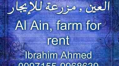 العين   مزرعة للإيجار   Al Ain  farm for rent ...